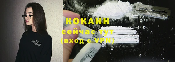 PSILOCYBIN Заводоуковск