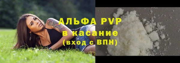 PSILOCYBIN Заводоуковск