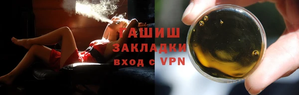 PSILOCYBIN Заводоуковск