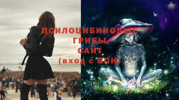 дмт Заволжье