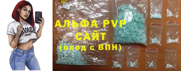 PSILOCYBIN Заводоуковск