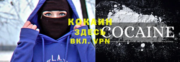 PSILOCYBIN Заводоуковск