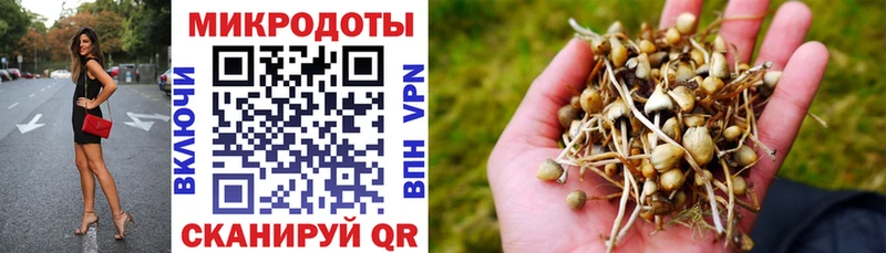 Галлюциногенные грибы GOLDEN TEACHER  кракен ТОР  Каргополь 
